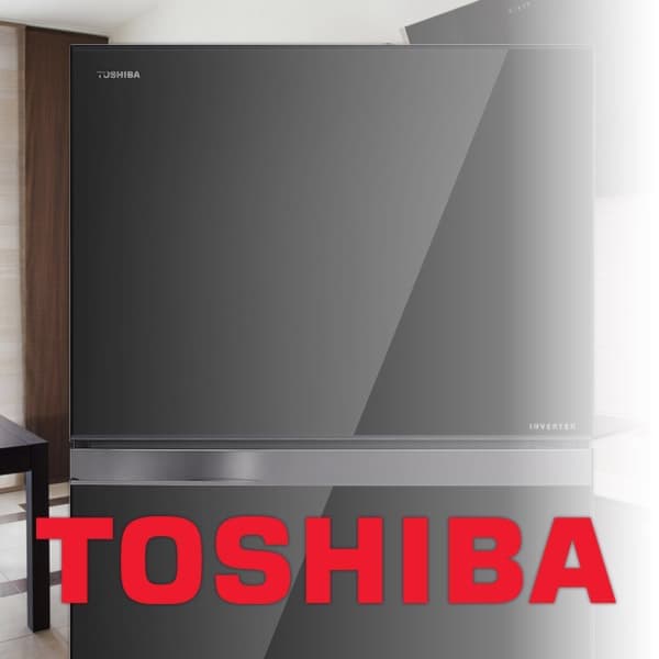 Ремонт холодильников Toshiba (Тошиба) на дому в Москве
