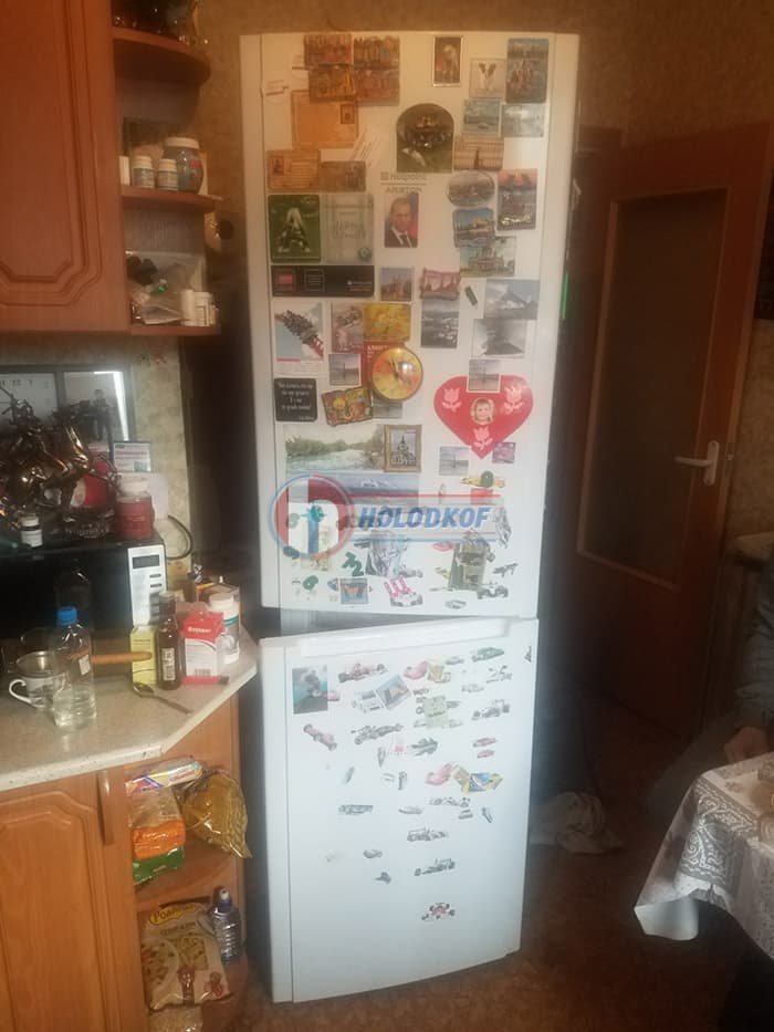 Ремонт холодильника Ariston HBML1201