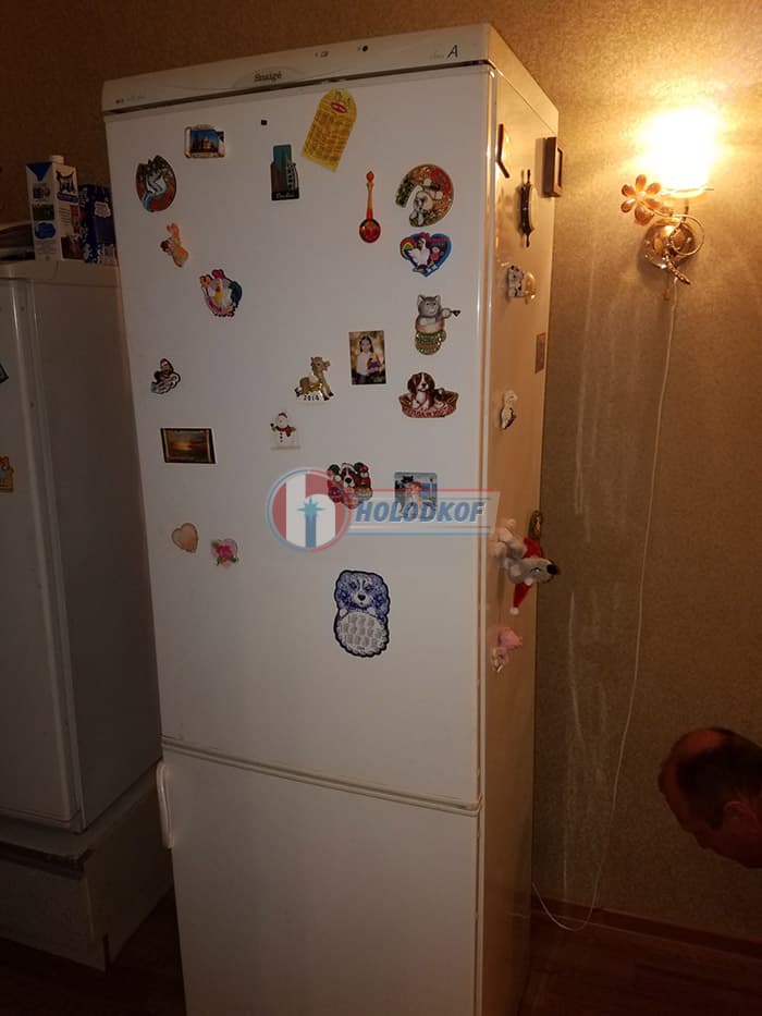 Ремонт холодильника Snaige